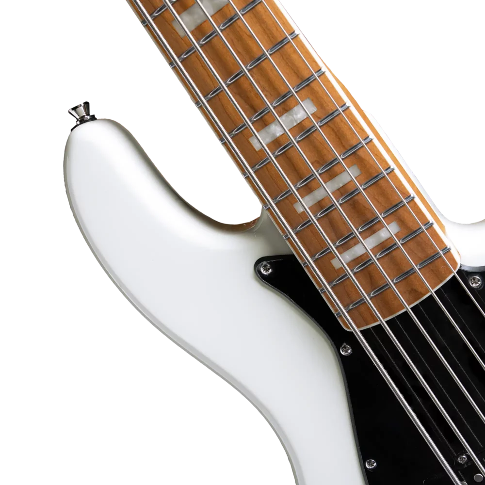 GJB5 05 OW4 <p class="lead">The Gusta GJB5-05 is a 5-string jazz bass that features upgraded active electronics for enhanced performance.</p>