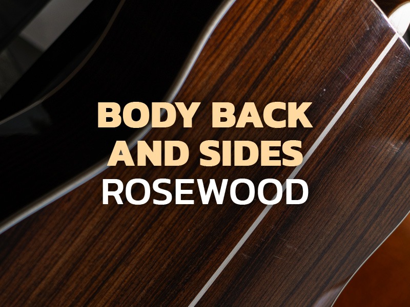 Gusta GDX3 Acoustic-Electric Guitar with Rosewood back and sides