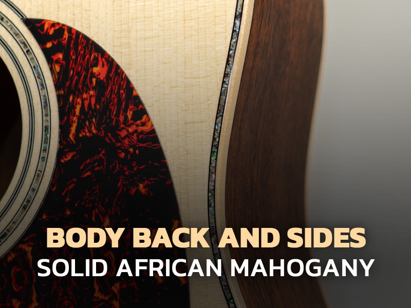 Gusta GDX5 acoustic guitar back and sides